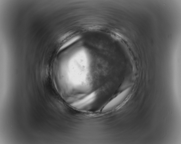 X0000083561161200703091610