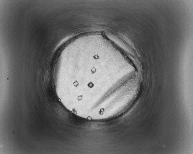 X0000083561163200703091610