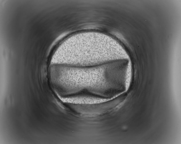 X0000083561164200703091610