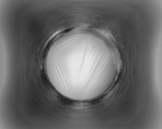 X0000083561165200703091610