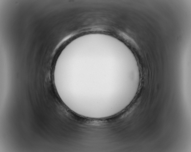 X0000083561166200703091610