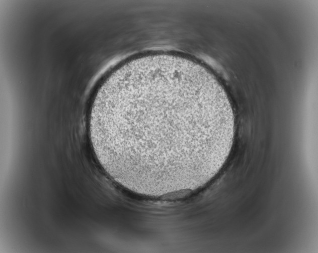 X0000083561167200703091610