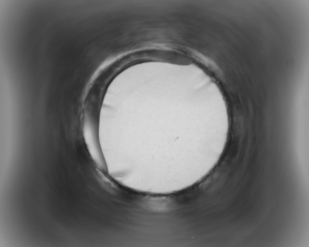 X0000083561168200703091610