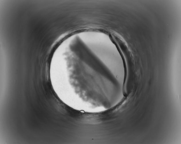 X0000083561171200703091610