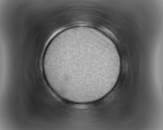 X0000083561182200703091610