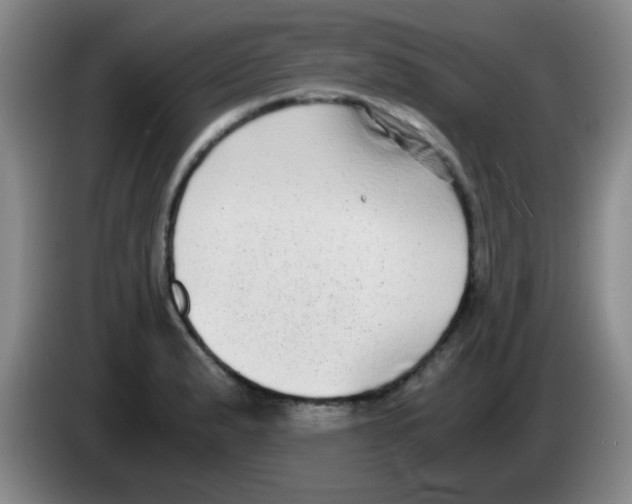 X0000083561183200703091610