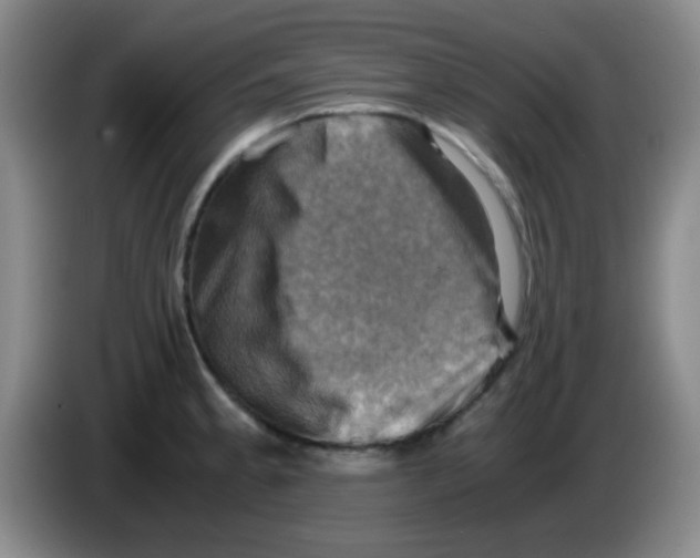 X0000083561189200703091610