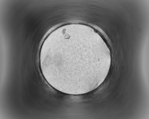 X0000083561191200703091610