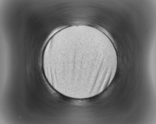 X0000083561195200703091610