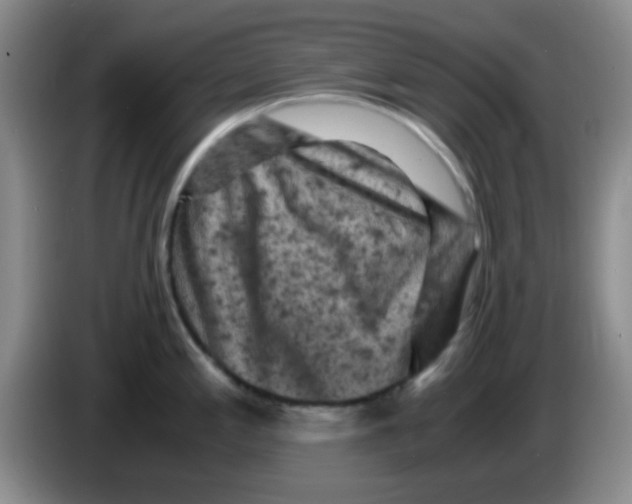 X0000083561197200703091610