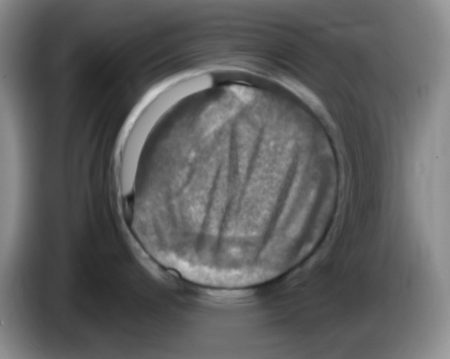 X0000083561200200703091610