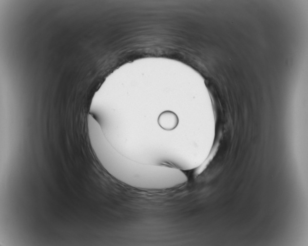 X0000083561202200703091609