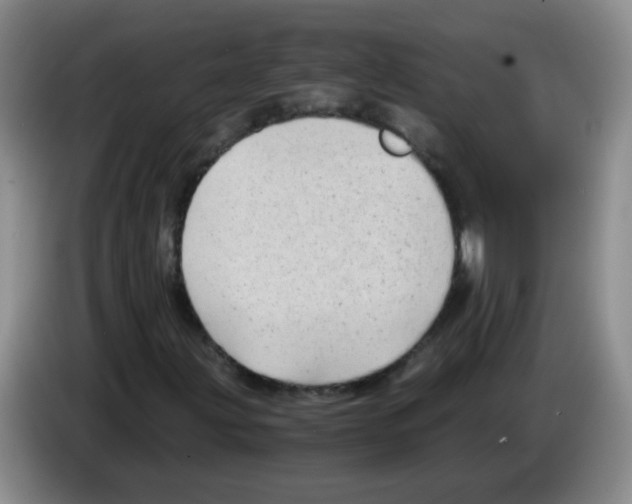 X0000083561203200703091609