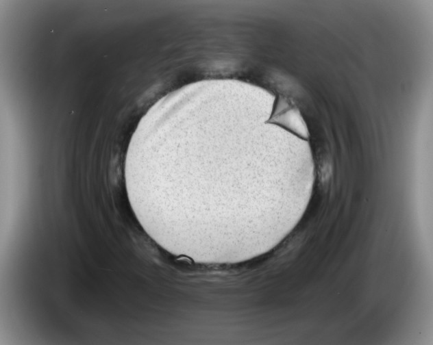 X0000083561204200703091609