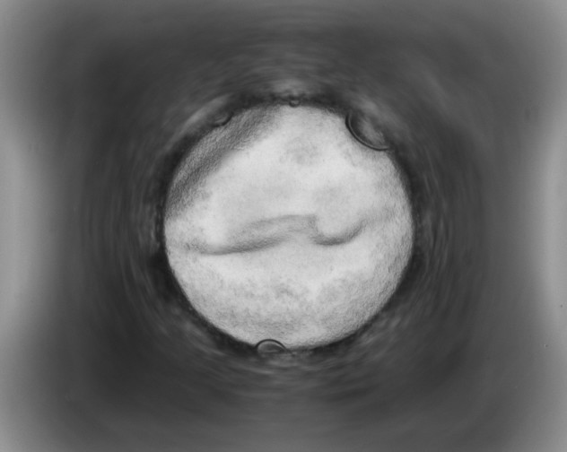 X0000083561205200703091609