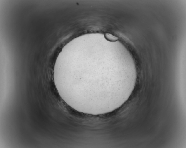 X0000083561207200703091609