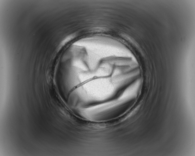 X0000083561210200703091609