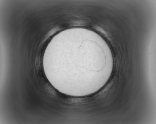 X0000083561211200703091609