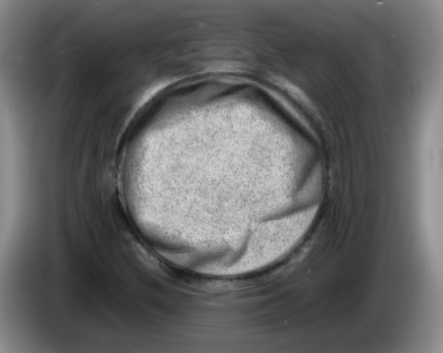 X0000083561212200703091609