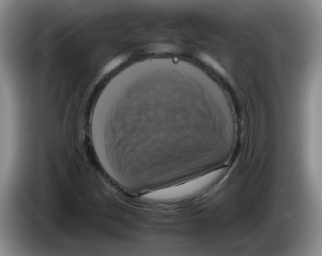 X0000083561213200703091609