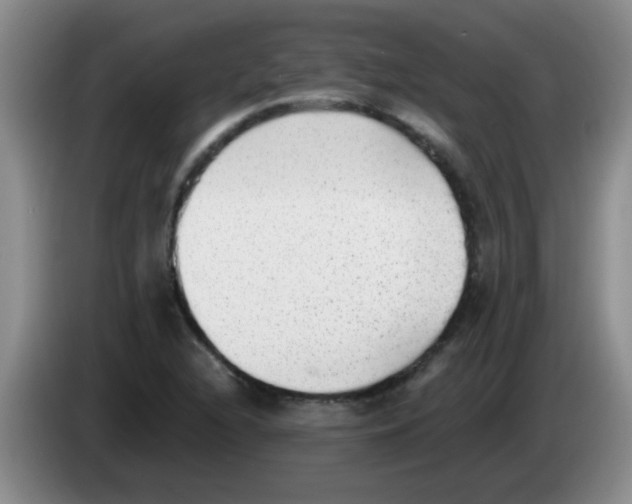 X0000083561216200703091609