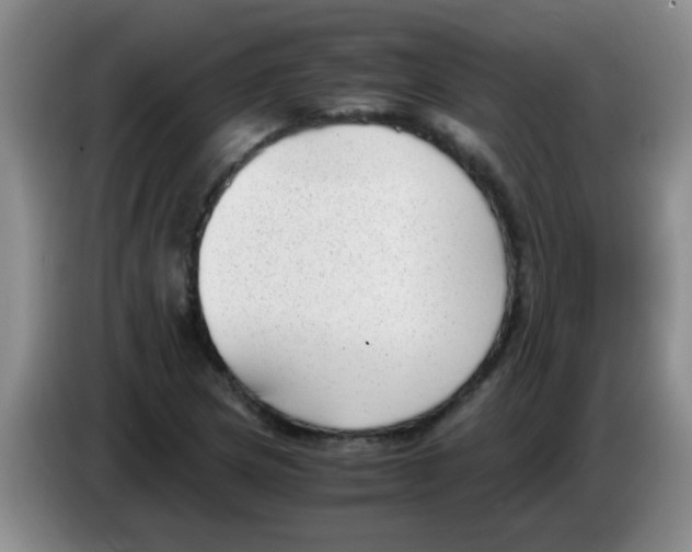 X0000083561217200703091609