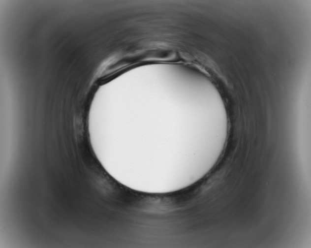 X0000083561218200703091609