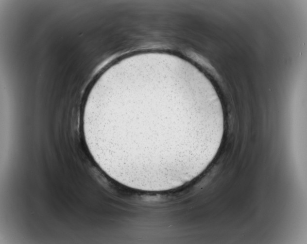 X0000083561220200703091609