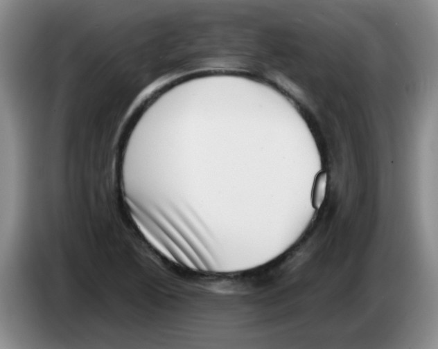 X0000083561222200703091609