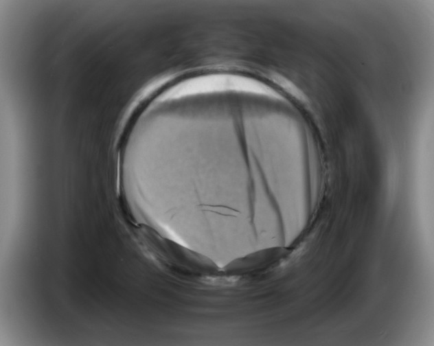 X0000083561223200703091609