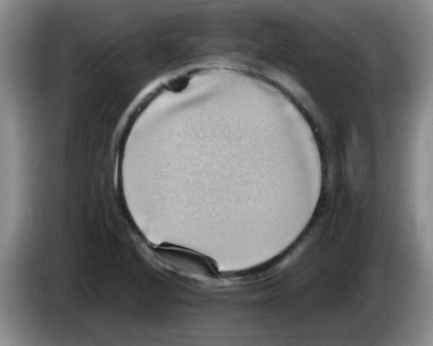 X0000083561224200703091609