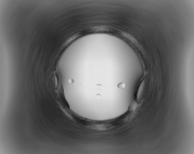 X0000083561225200703091609