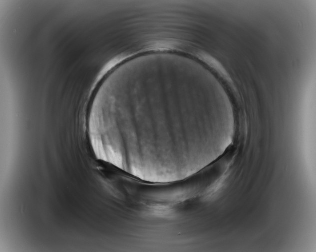 X0000083561226200703091609