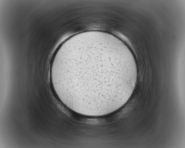 X0000083561227200703091609