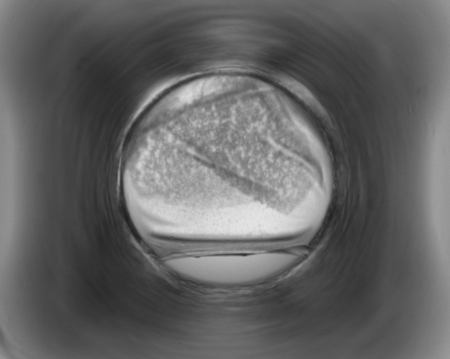 X0000083561228200703091609