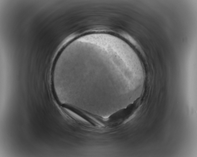 X0000083561229200703091609