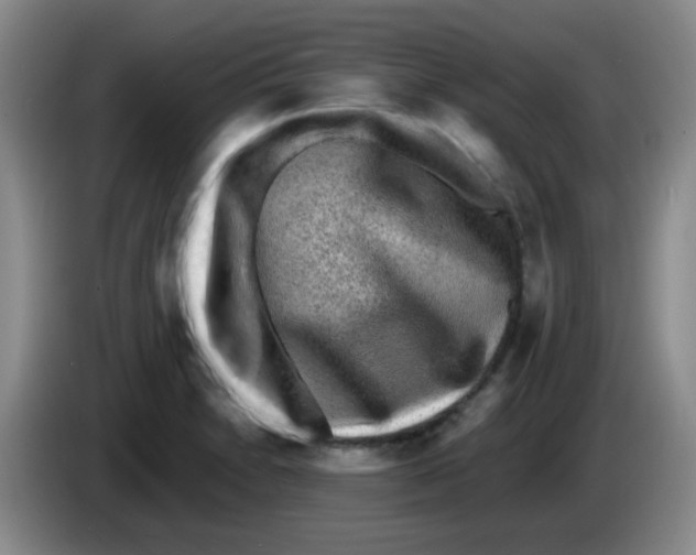 X0000083561230200703091609