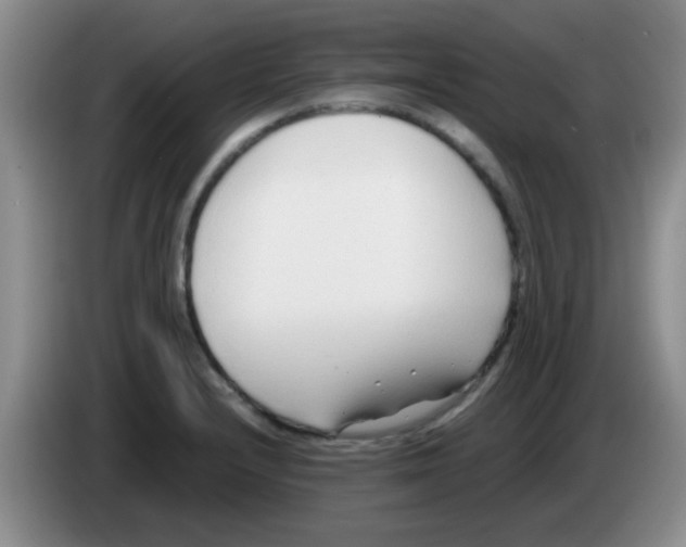 X0000083561232200703091609