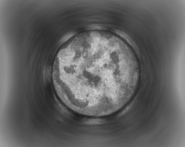 X0000083561233200703091609