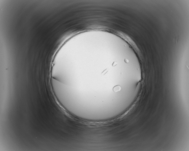 X0000083561236200703091609