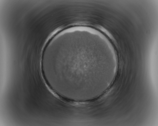 X0000083561237200703091609