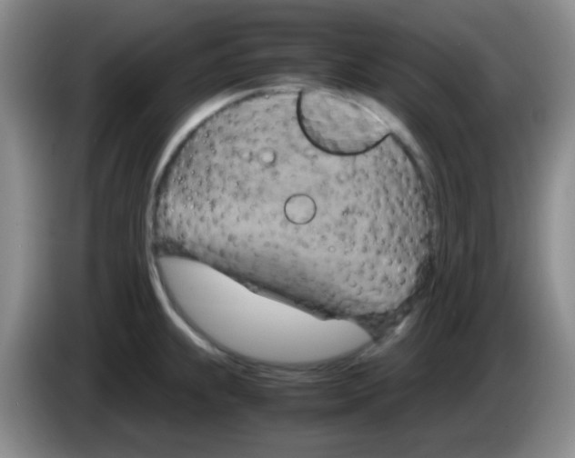 X0000083561239200703091609