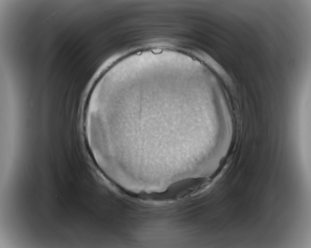 X0000083561240200703091609