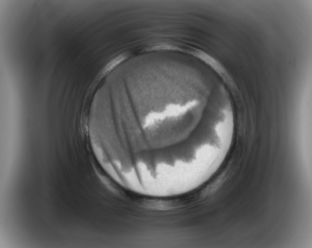 X0000083561241200703091609