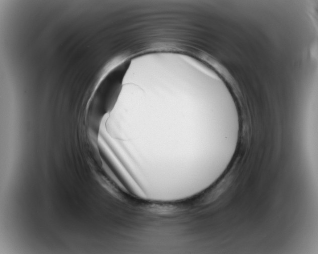 X0000083561242200703091609