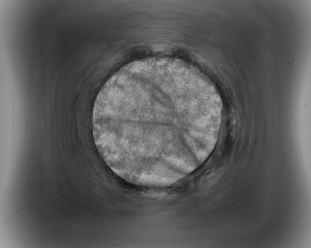 X0000083561249200703091609