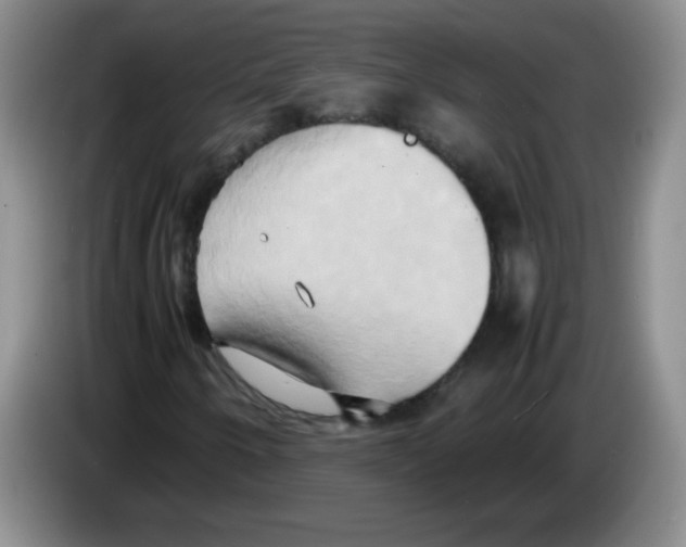 X0000083561250200703091609