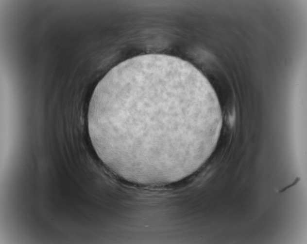 X0000083561252200703091609