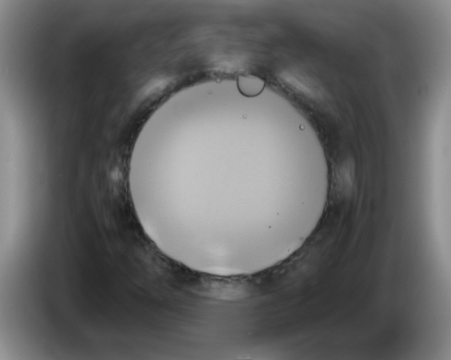 X0000083561254200703091609