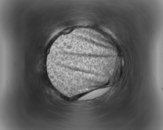 X0000083561256200703091609